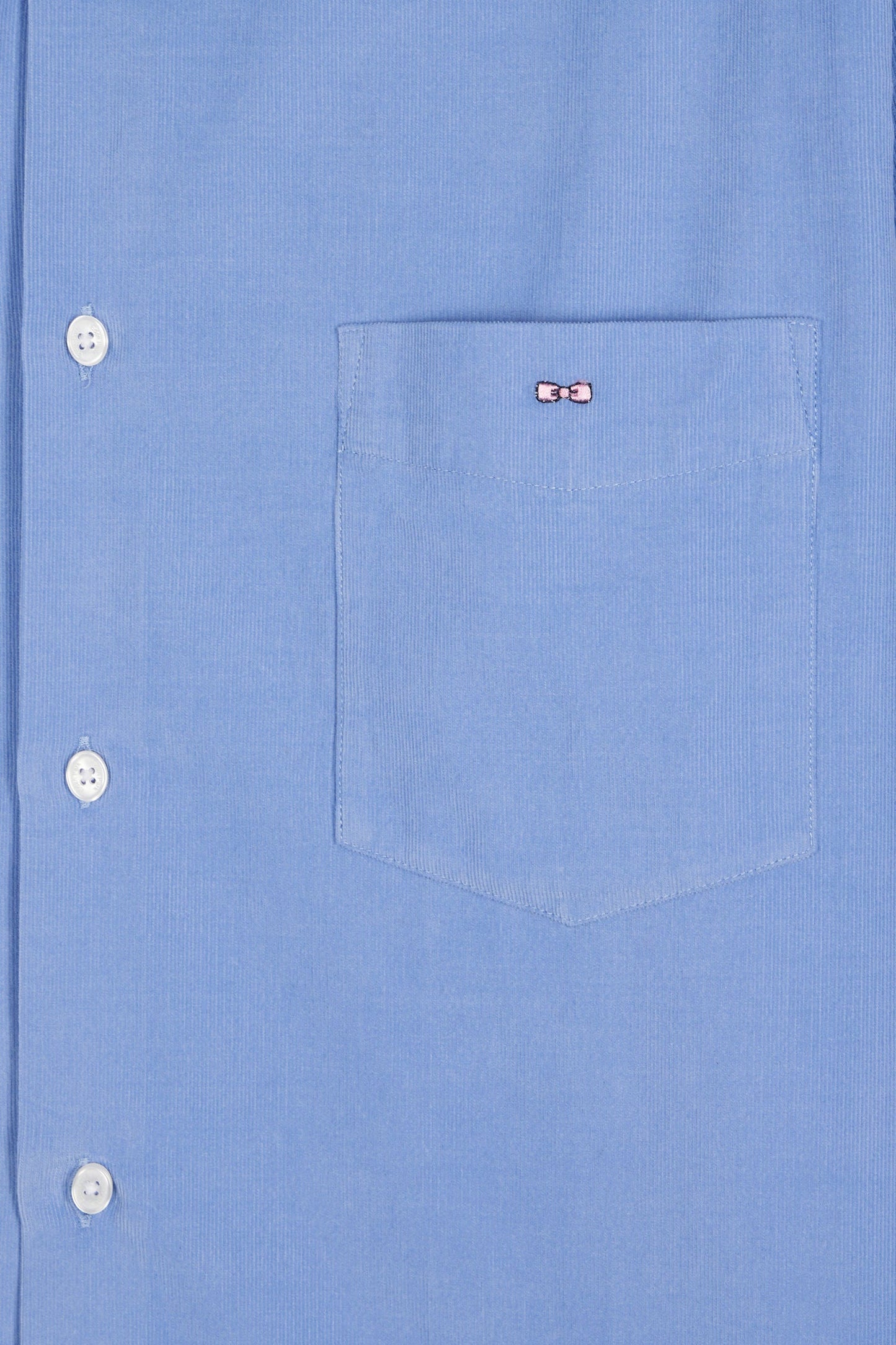 Chemise en velours ciel coupe droite